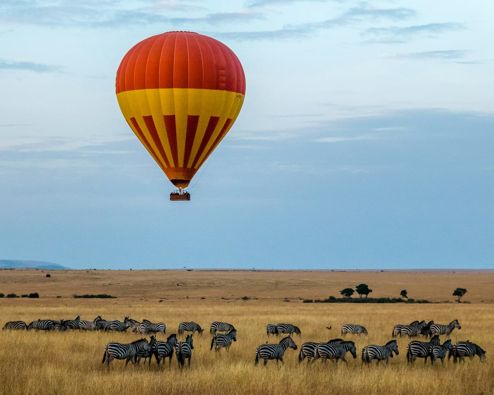 Wildlife on the savannah in Kenya